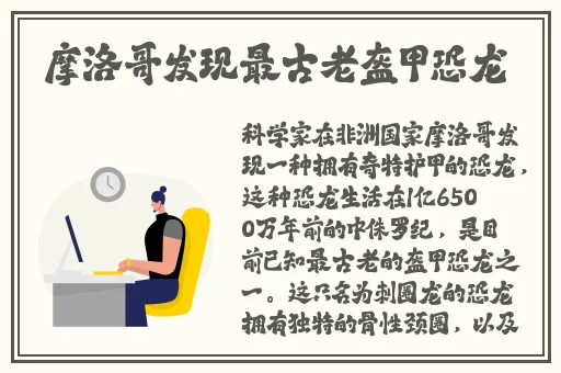空乘啄木鸟完整版在线